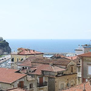 Dal Conte